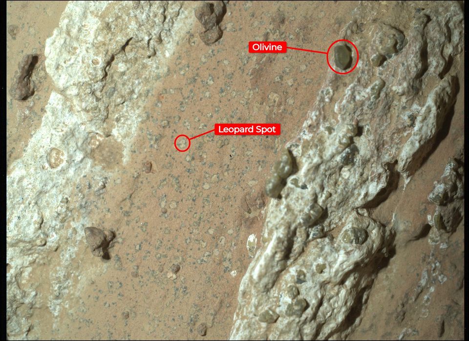 The Cheyava Falls rock with its "leopard spots", photographed by Perseverance.